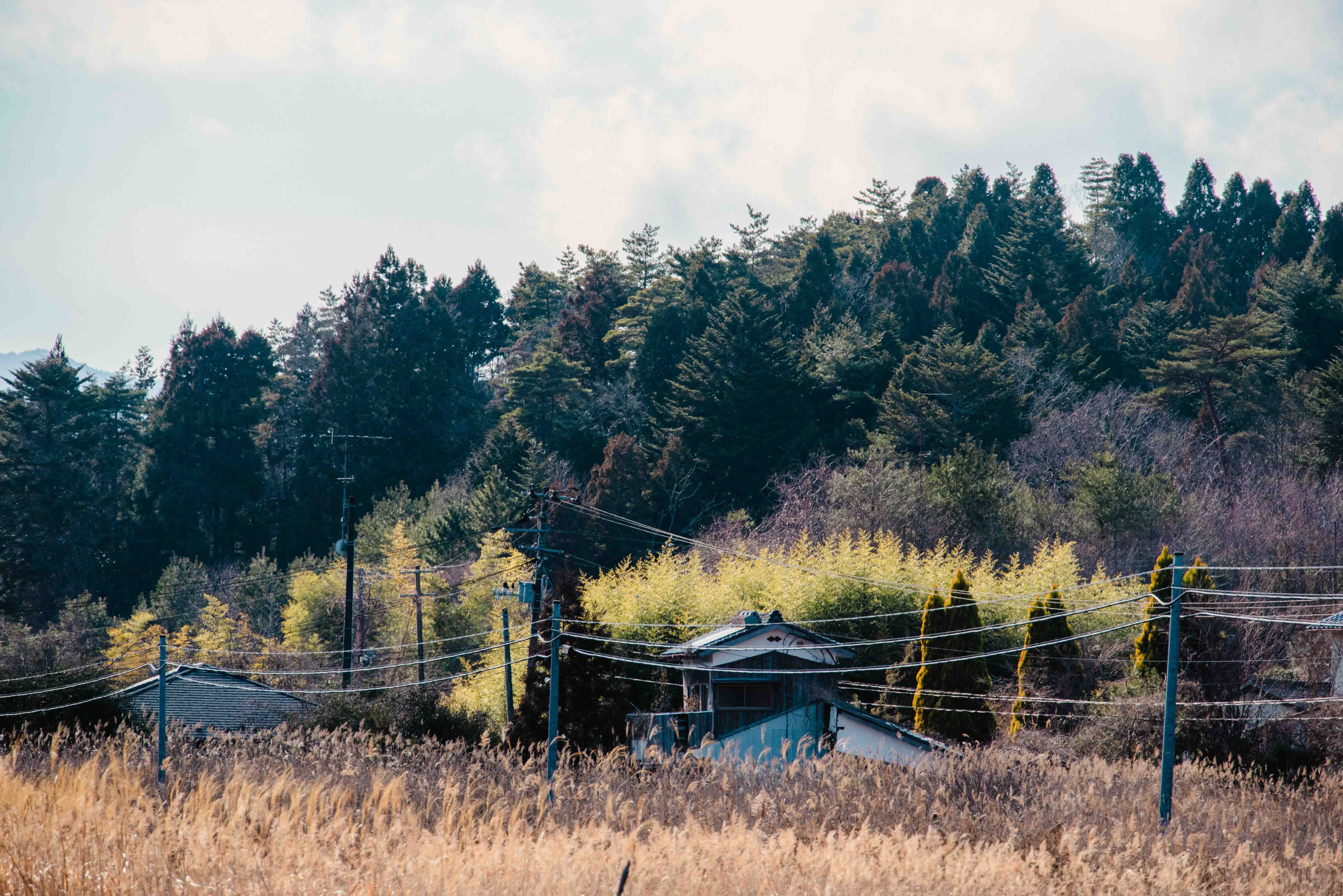 Abandoned Fukushima house centre-frame